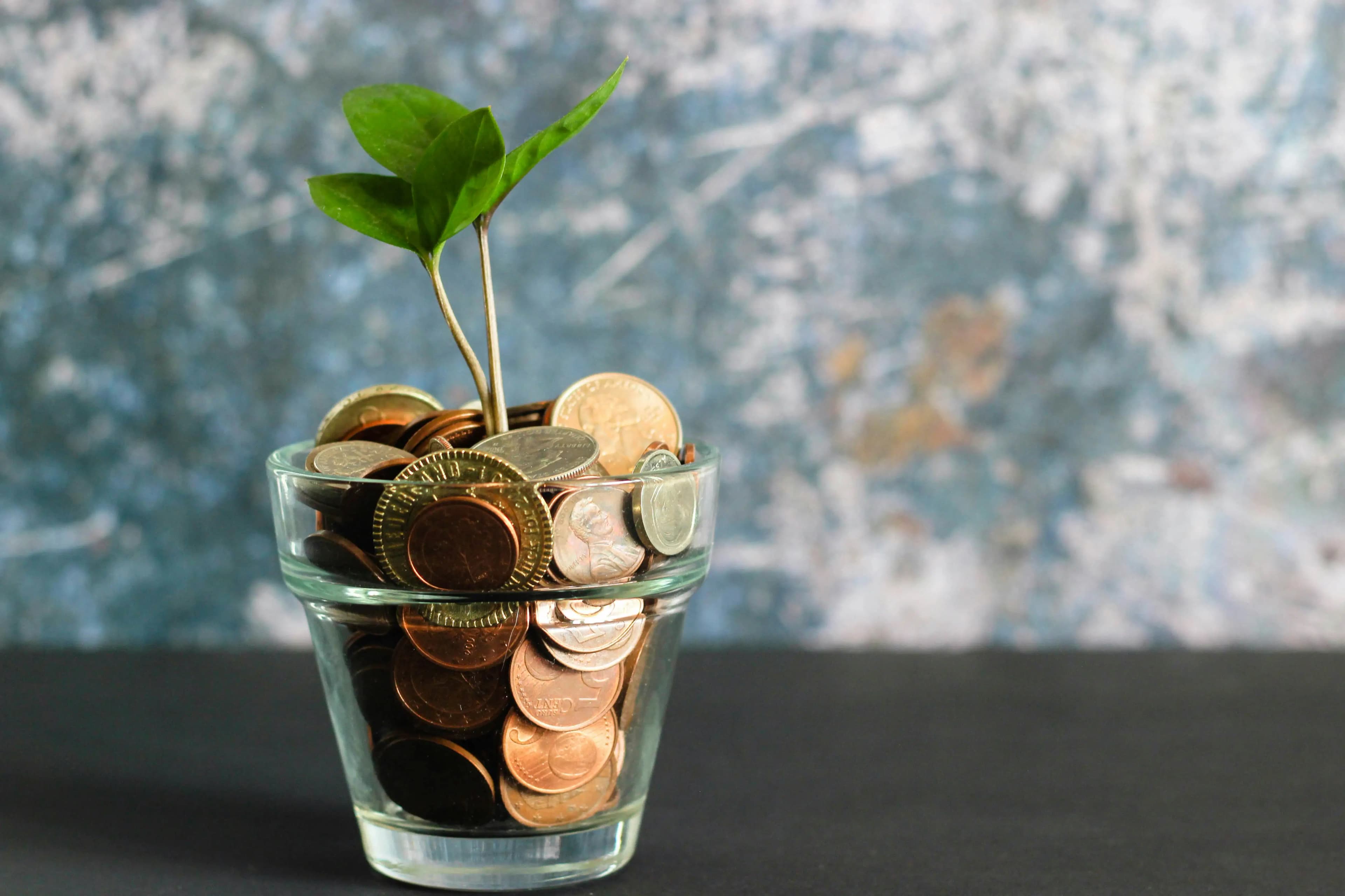 image-plante-lexique-investissement