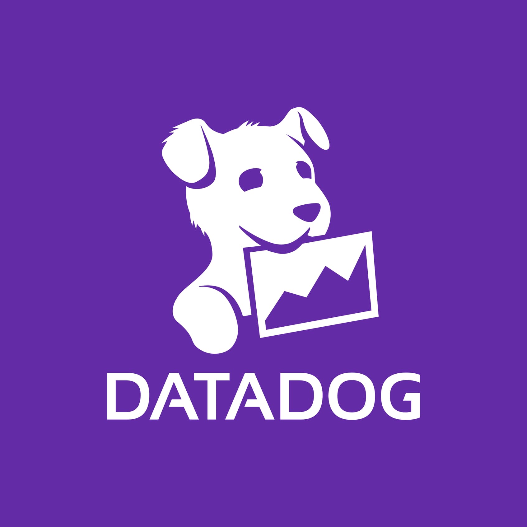 Analyser une action ou indice de A à Z : étude de cas sur Datadog (DDOG).